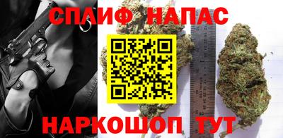 mdpv Новодвинск