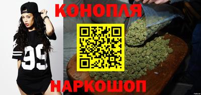 mdpv Новодвинск